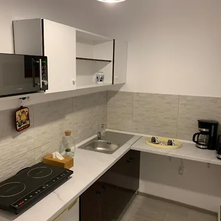 Acme Apartment Brasov
